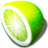 Exquisite-limewire.png