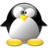 Crystal 128 penguin.png