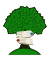 Pod sesterskou lípou