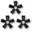 Noia 64 apps password.png