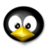 Noia 64 apps penguin.png