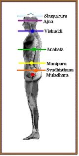 Diagram čakry