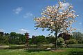0 Château Royal de Laeken - Jardins 2 resynt.JPG